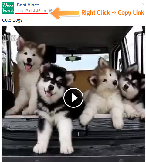Facebook Video link grab