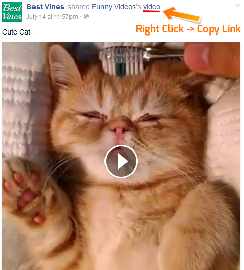 Facebook video link grab 2